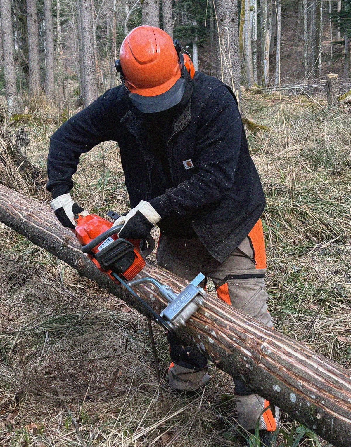 David beim Rindenschlitzen im Wald